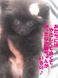 SN3U01180002_convert_20130401103128.jpg