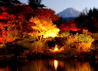 冨士ビューホテルの紅葉