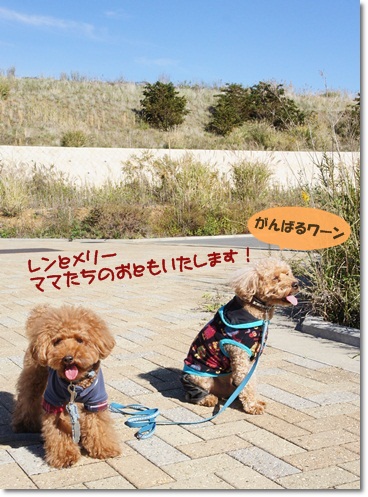 歩け歩け出発