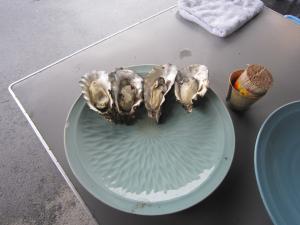 IMG_7341_convert_20140131175532.jpg