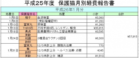 保護猫医療費2601