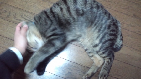 PAP_0256.jpg