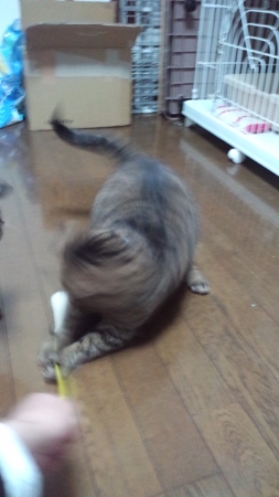 PAP_0270.jpg
