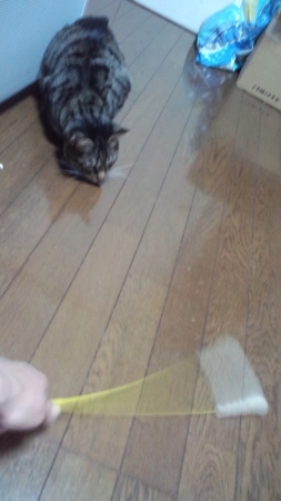 PAP_0275_2014012914391391f.jpg