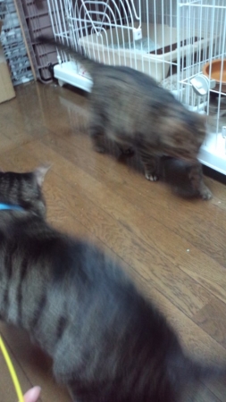 PAP_0292_201401291019585aa.jpg