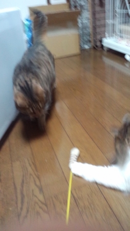 PAP_0322_20140129103120875.jpg
