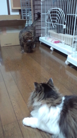 PAP_0323_20140129135130cad.jpg