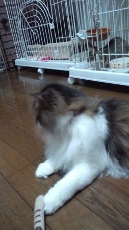 PAP_0326.jpg