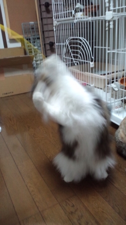 PAP_0333_201401291351408cc.jpg