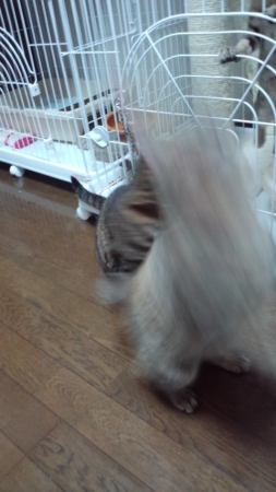 PAP_0350_2014012914195997d.jpg