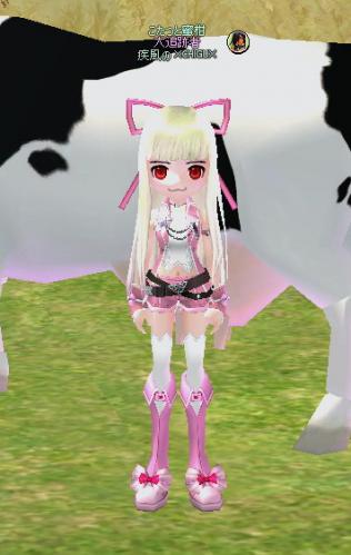 びふぉー
