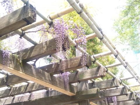 20130416.jpg