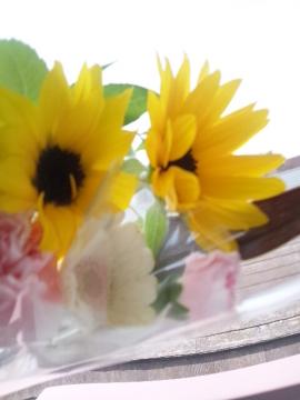 20130418.jpg
