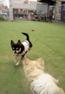 りっくん