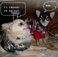 レンつめ3