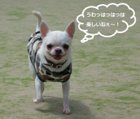 とのらんらん