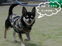 りくらんち