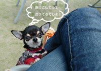 ななだっこ