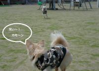 れんとの