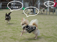 りくはしる