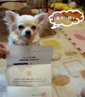 合格1