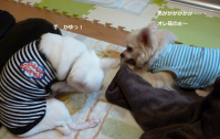 つめとのれん2