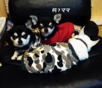 3人衆・・