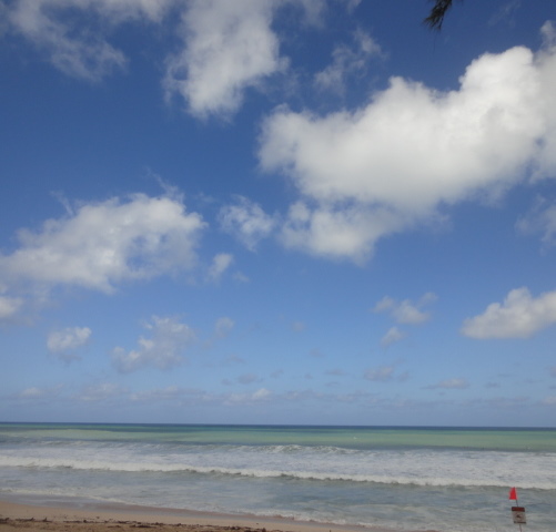 DSC07151.jpg