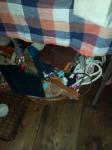 moblog_742168ed.jpg