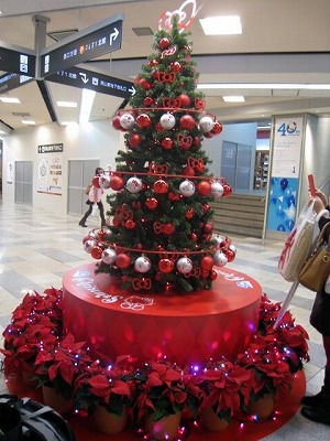 s-fuziIMG_5274.jpg