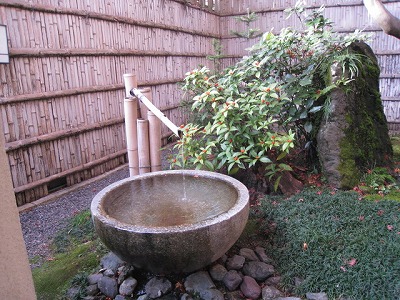 s-fuziIMG_5383.jpg