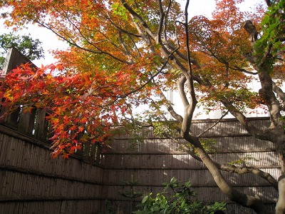 s-fuziIMG_5384.jpg