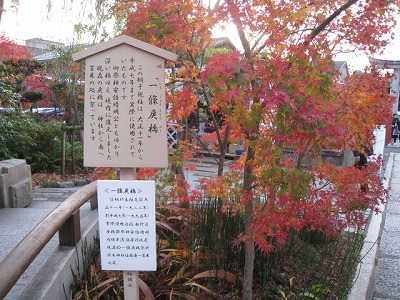 s-fuziIMG_5390.jpg