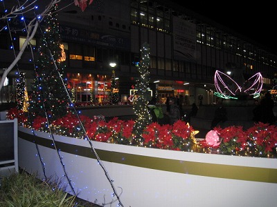 s-fuziIMG_5394.jpg