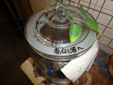 DSC03545.jpg