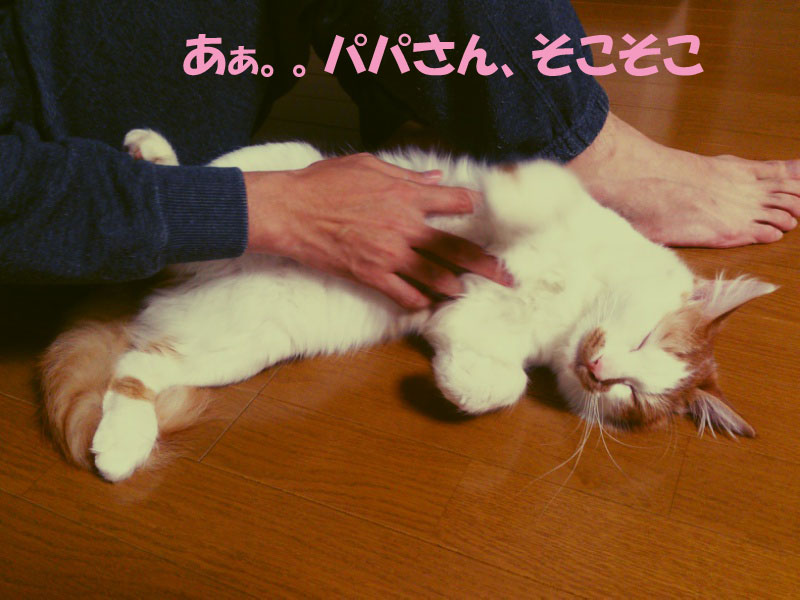 FxCam_1354193553491の2
