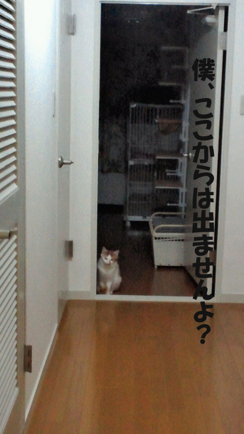 2012112818460003の2