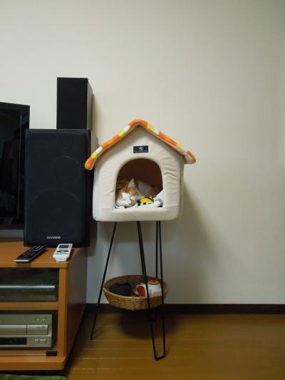 DSCN3030_convert_20130110165446の2