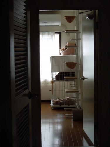 DSCN3079_convert_20130111154020の2