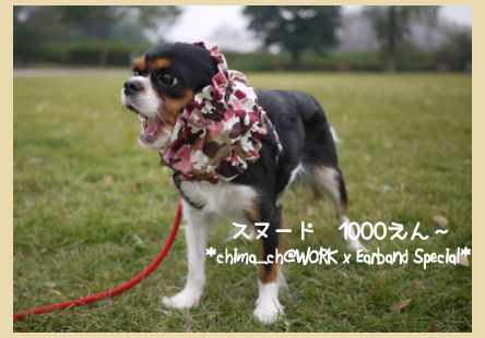 snood02.jpg