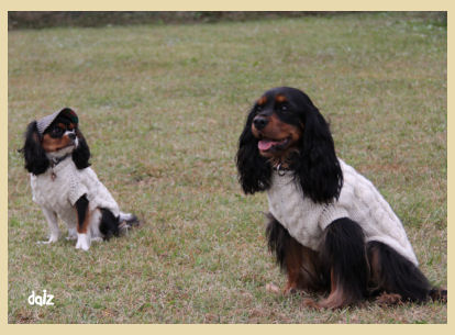 sweater20121005.jpg