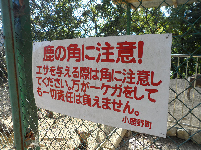 chichibu20120599.jpg