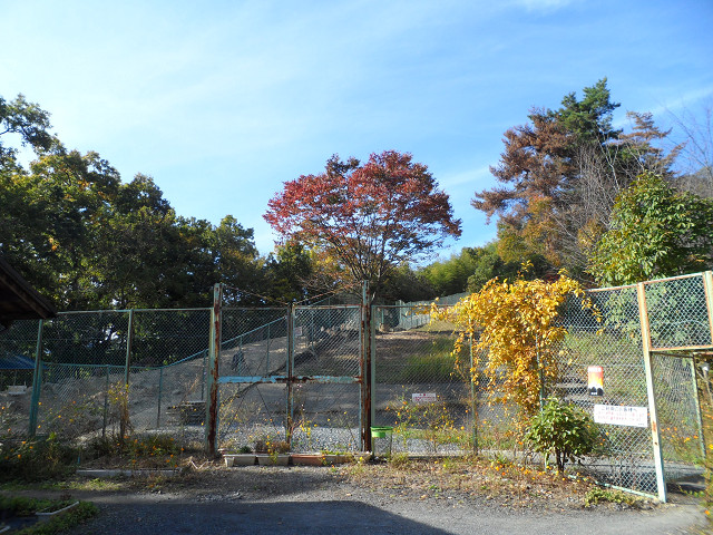 chichibu20120602.jpg