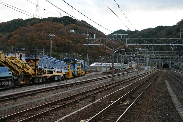 cub20120645.jpg
