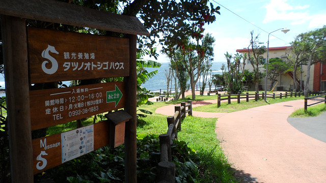 kagoshima20120157.jpg