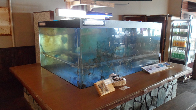 kagoshima20120160.jpg