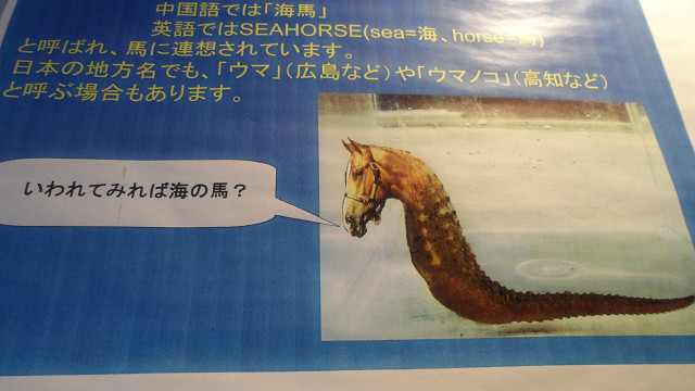 kagoshima20120163.jpg