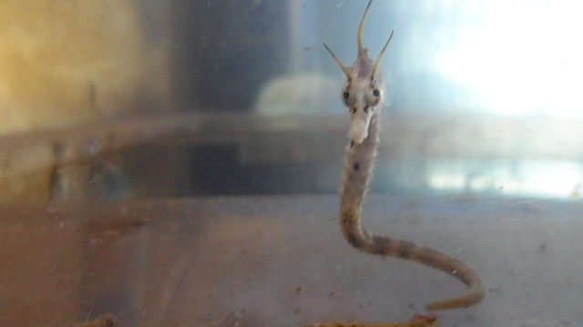 kagoshima20120165.jpg