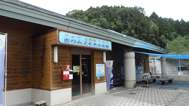kagoshima20120251.jpg