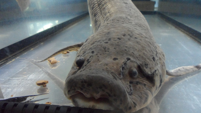 kagoshima20120254.jpg